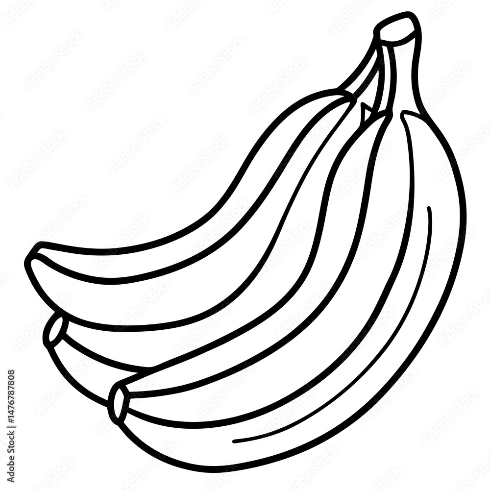 vector illustration of a banana vector illustration of a banana