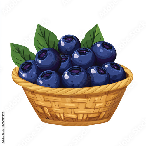 a Blueberry fruit on basket