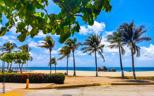Sun beach sand surfer waves palms in Puerto Escondido Mexico.