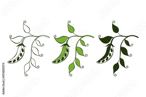 Microgreens. Set of icons green pea branch with pod and leaves, outline drawing, silhouette and color sketch. Design element for vegetarianism, healthy eating, microgreens, green vegetables and