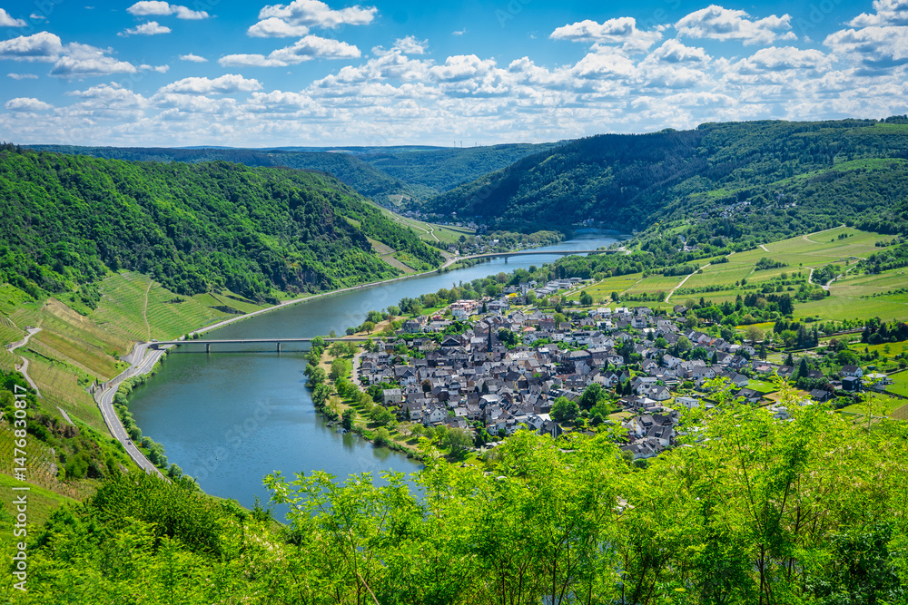 Obraz premium Blick auf Enkirch von der Moselschleife Kröv