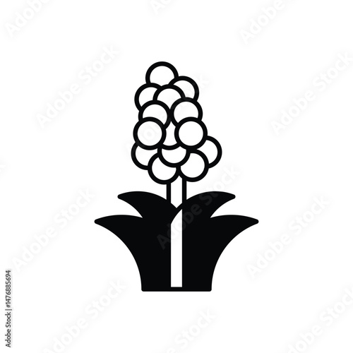 Quinoa vector icons stock illustration
