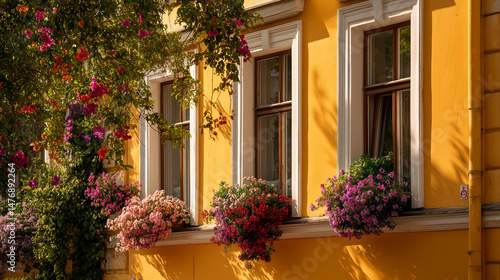 street with flowers