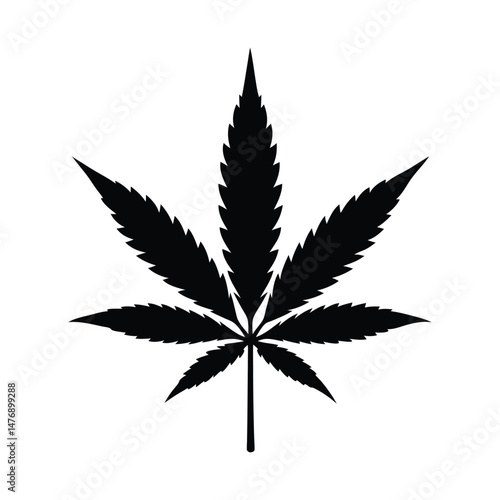 cannabis leaf isolated on white