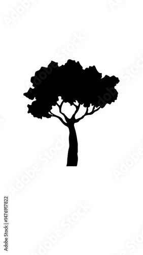 árbol silueta 
