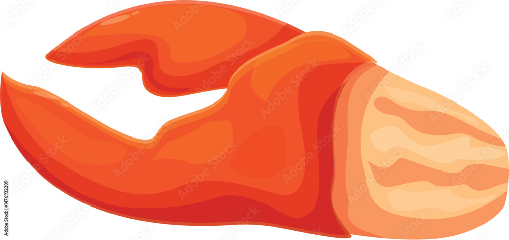 Open cooked lobster claw showing delicious white meat, isolated on white background Open cooked lobster claw showing delicious white meat, isolated on white background