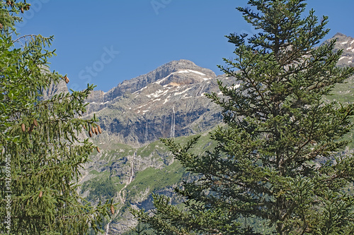 Alpine mountains with meadows, pine forest and granite tops in Vanoise national park, France 