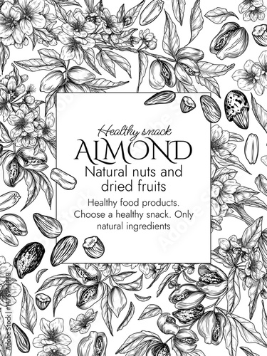 Vector frame with a branch of blooming almonds in engraving style. Graphic banner with nuts on a tree. Template with the cultivation of a healthy snack. Nuts in shell and in cut form, almond flakes