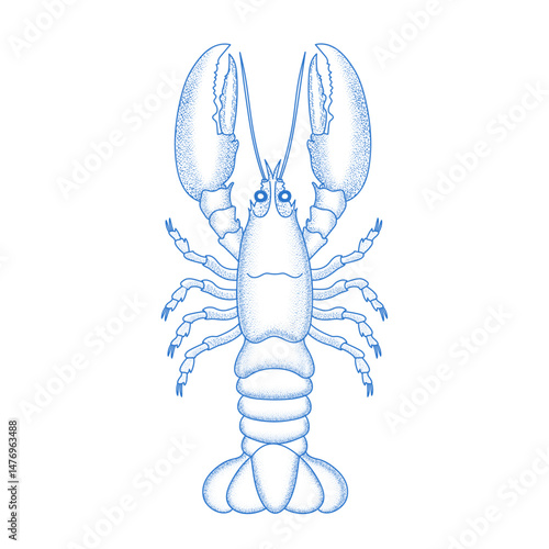 A blue lobster illustration with textured claws, segmented legs, and a rugged shell, rendered in a retro engraving style with fine dot shading—ideal for seafood menus, banners, ads, prints or posters.