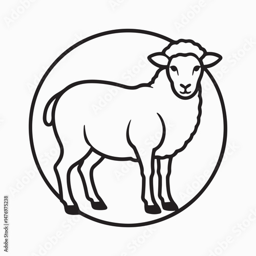 merino sheep vector art illustration