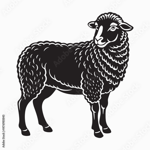 merino sheep vector art illustration
