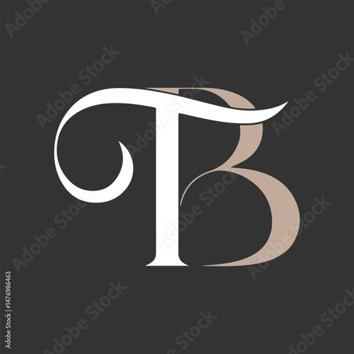 Initial letter TB modern logo design vector image