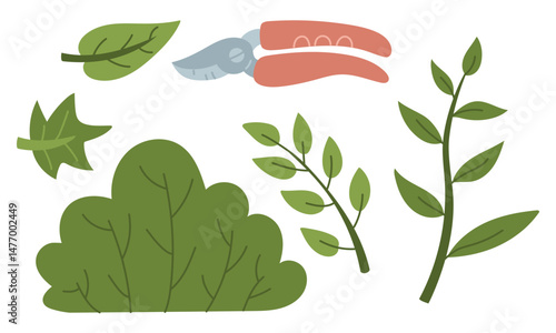 set for caring for plants. Pruning shears, bush, branches and leaves. Flat color isolated illustration. It is suitable for gardening blogs, packaging of garden products, educational and promotional