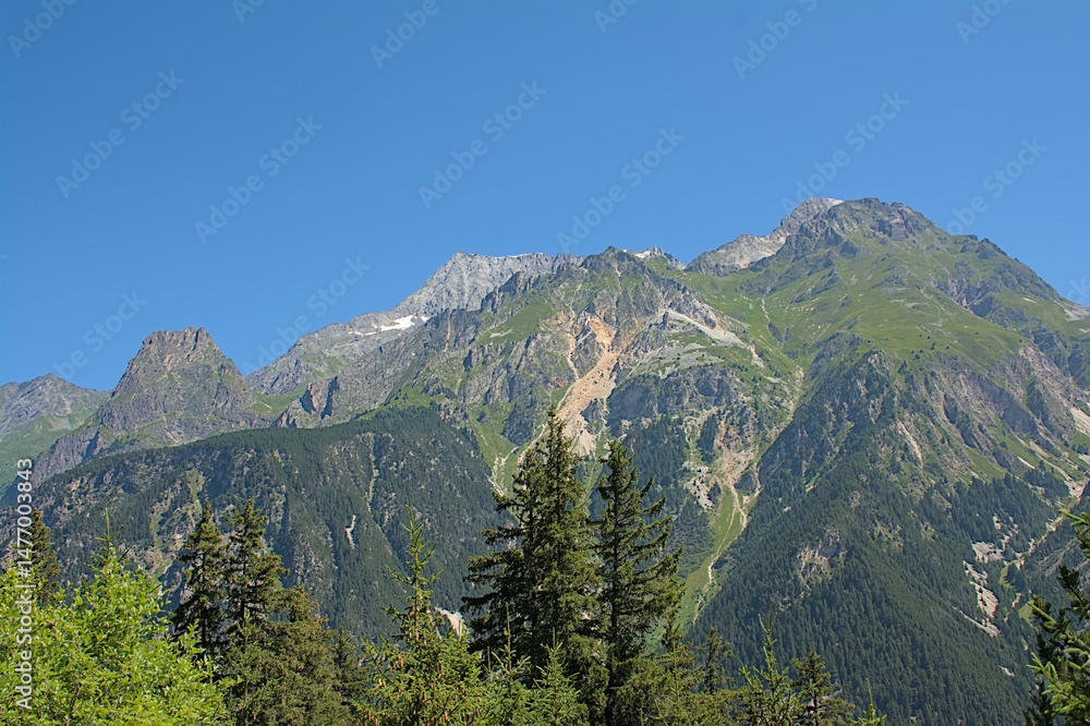 Fototapeta premium Alpine mountains with pine forest and granite tops in La Vanoise national park, France 