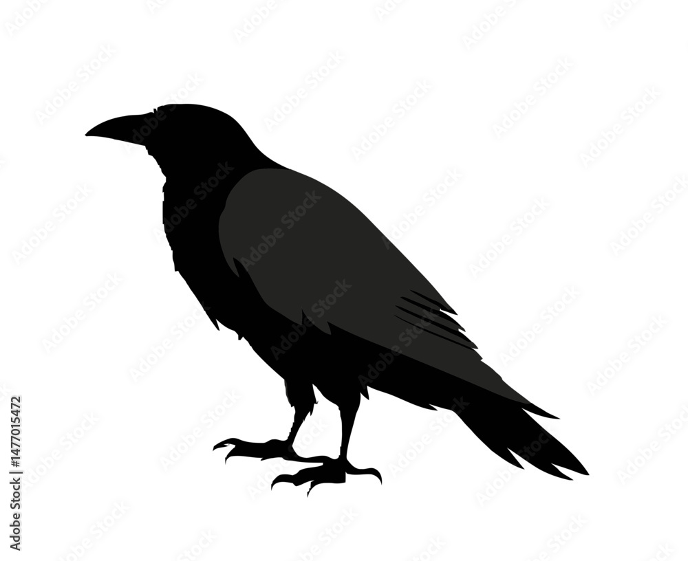 Obraz premium crow on a white background vector