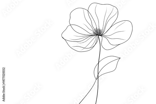Elegant flowers drawn in black continuous line art, minimalistic composition with smooth curves, centered on plain white background with wide space