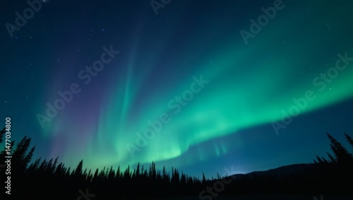 Wallpaper Mural Stunning view of the Northern Lights over a forested landscape. The vibrant green aurora illuminates the night sky, creating a mesmerizing natural phenomenon Torontodigital.ca