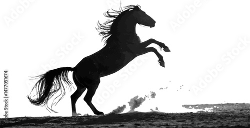 Rearing Black Horse Silhouette