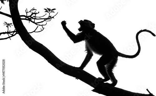 Monkey Silhouette on Tree Branch – Wildlife Animal Vector Illustration