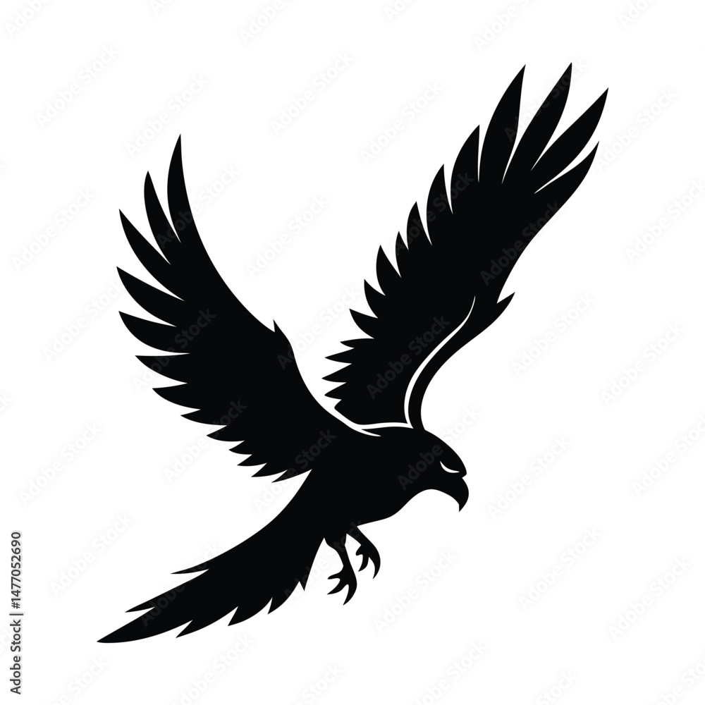 Obraz premium Silhouette of a Soaring Hawk