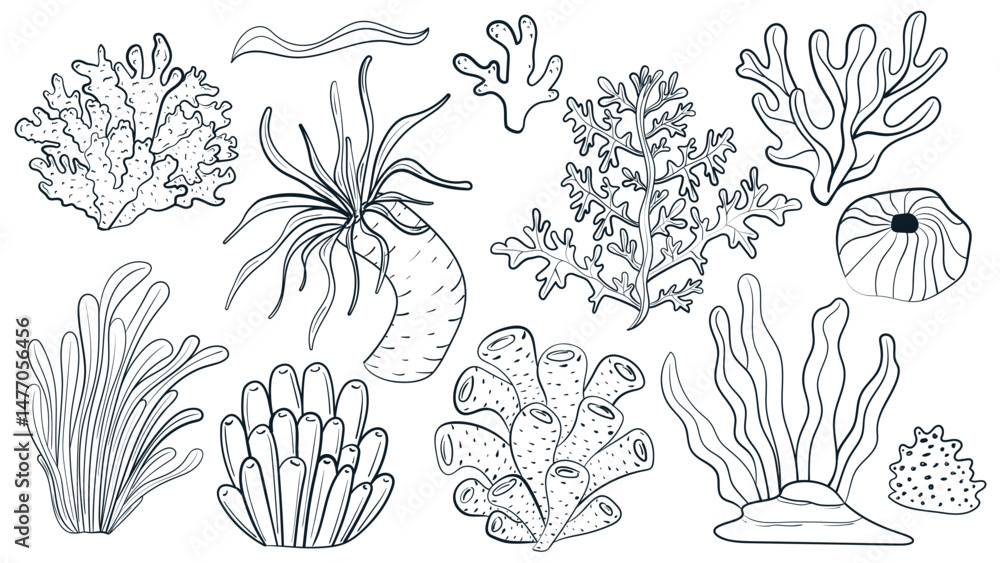 Coral doodle set. Ocean underwater flora design element. Cartoon isolated vector illustration. Coral doodle set. Ocean underwater flora design element. Cartoon isolated vector illustration.