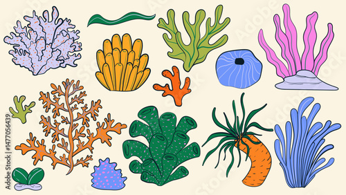 Coral doodle set. Ocean underwater flora design element. Cartoon isolated vector illustration.
