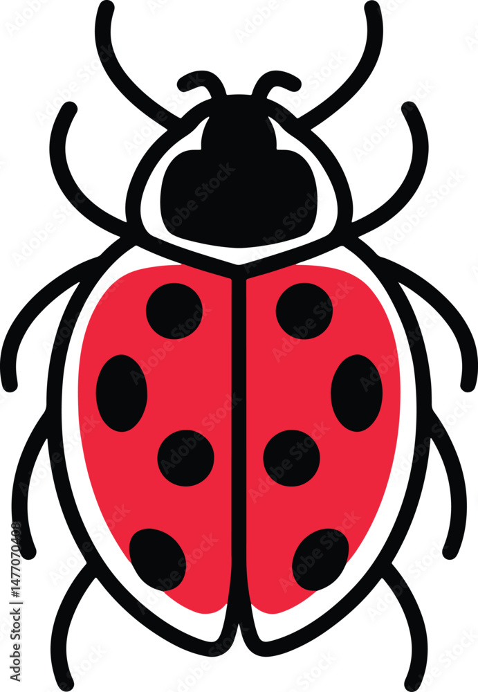 Obraz premium lady bird beetle colorful line art illustration