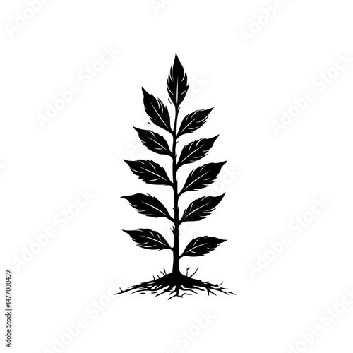 Detailed botanical illustration showcasing a sapling's potential for growth