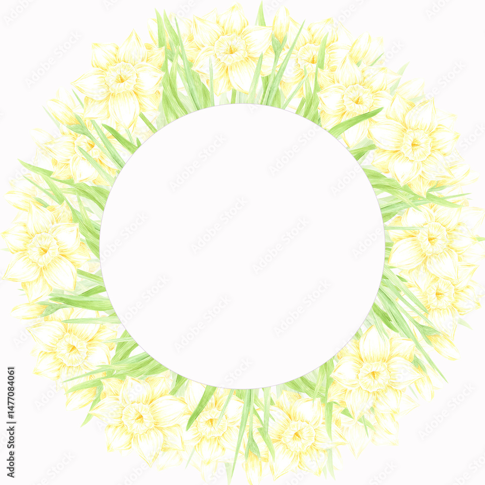 Hand drawn watercolor daffodil with green leaves wreath frame border isolated on white background. Can be used for postcard, invitation, scrapbook and other printed products. Hand drawn watercolor daffodil with green leaves wreath frame border isolated on white background. Can be used for postcard, invitation, scrapbook and other printed products.