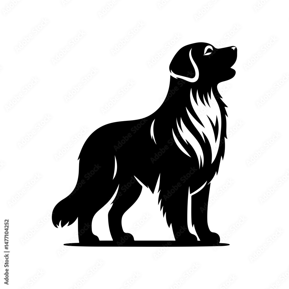 vector illustration of a dog vector illustration of a dog