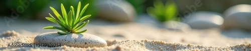 Wallpaper Mural A single rosemary sprig in a serene sand and pebble zen garden scene , rosemary, background Torontodigital.ca