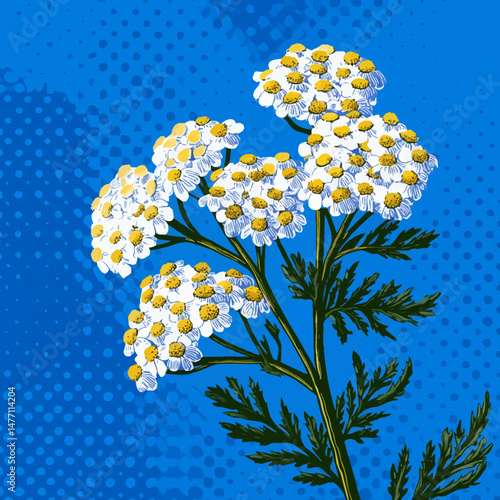 A vector illustration showcases beautiful white flowers with yellow centers growing against a striking blue backdrop, highlighting their vibrant colors and details.