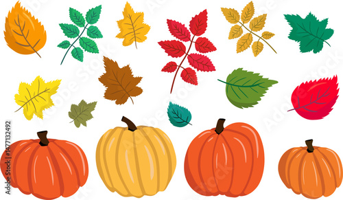 vector set of autumn elements colorful pumpkins and fall leaves, isolated graphic illustration collection for seasonal designs, thanksgiving and harvest themes