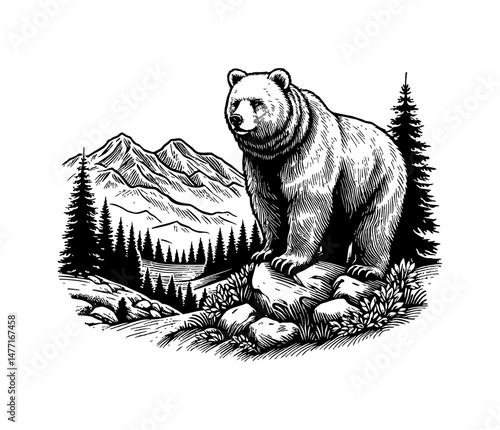 Detailed Engraved Black and White Illustration of a Bear in Mountain Landscape
