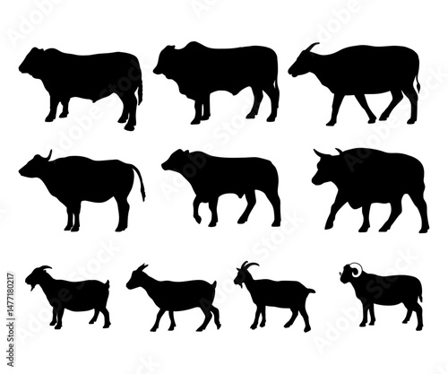 silhouette of sacrificial animals goat and cow on white background