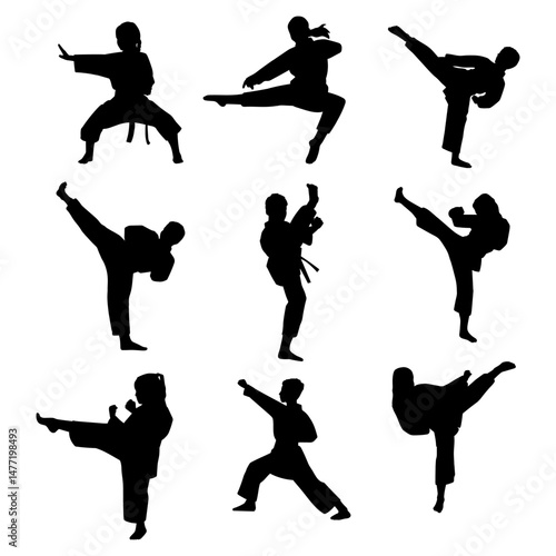 silhouette kid play sport karate, simple design collection