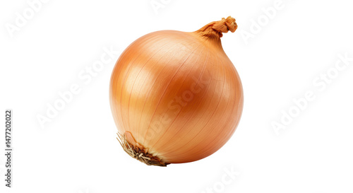 Wallpaper Mural Golden Onion Bulb: Culinary Ingredient Isolated on White Torontodigital.ca
