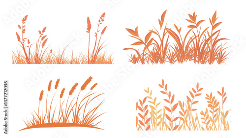 Set of abstract orange grass shapes in vector graphic style with no background, featuring stylized plant silhouettes, nature-inspired organic elements, and decorative botanical forms 