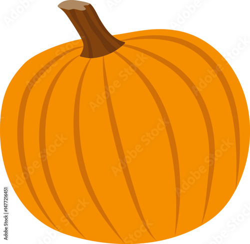 Pumpkin illustration on isolated white background