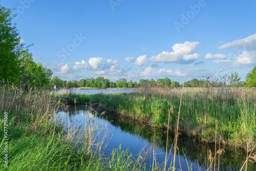 Ponds in Milicz, Lower Silesia, landscape with reflection in water.