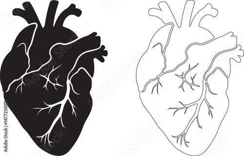 human heart symbol icon silhouette design vector art illustration.