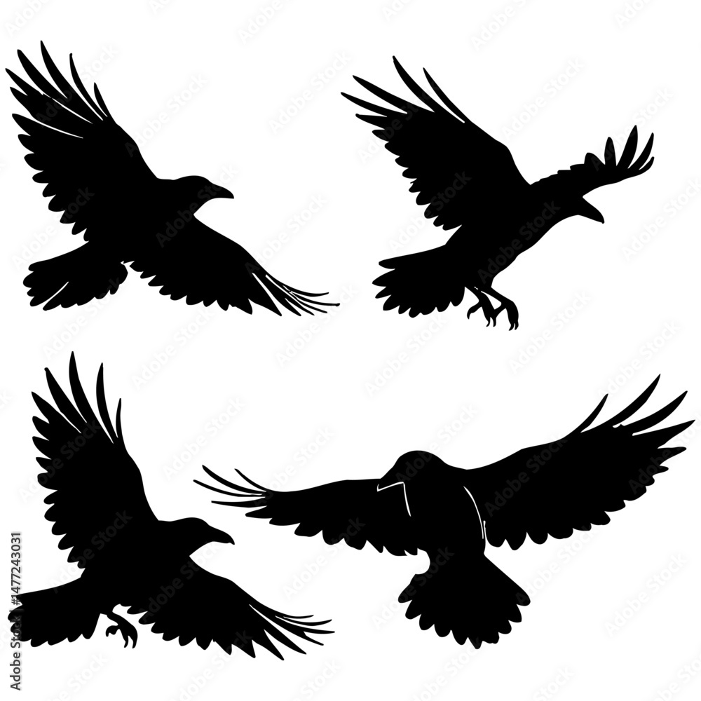 Fototapeta premium Silhouette vector illustration of four crows in various poses, including flying, perching, and landing, rendered in solid black on a white background for bold visual impact.