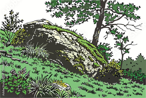 91 rock, grass, moss, foliage, lush vegetation, natural landscape, detailed, photorealistic, studio lighting, 8k