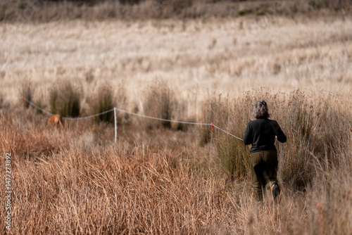 Картината върху платно female farmer reeling up Temporary electric fence with reels and polywire on a r