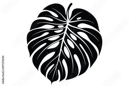 Graphic Illustration of a Large Black Monstera Leaf with Distinct Cutouts and Veins