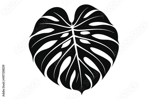 Stylish Black Silhouette of a Monstera Leaf with Intricate Veins and Holes