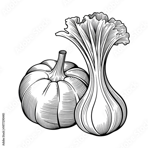 ‎A black and white pumprin  illustration line art of a coloring page