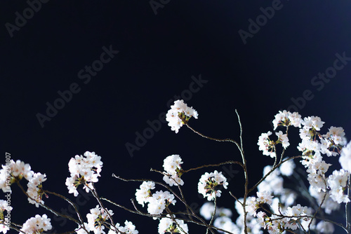 White Blossoms Glowing Gently in the Moonlight
