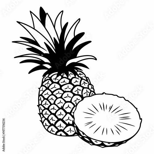 pineapple sketch illustration