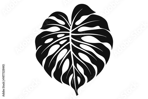 Silhouette of a Perforated Monstera Leaf Elegant Black and White Tropical Foliage Design